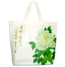泉州无纺布袋 泉州广告购物袋 泉州环保袋厂家 泉州购物袋定制